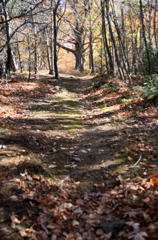 PICT1649.JPG