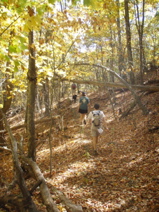 PA210002.JPG