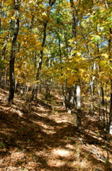 PICT1650.JPG