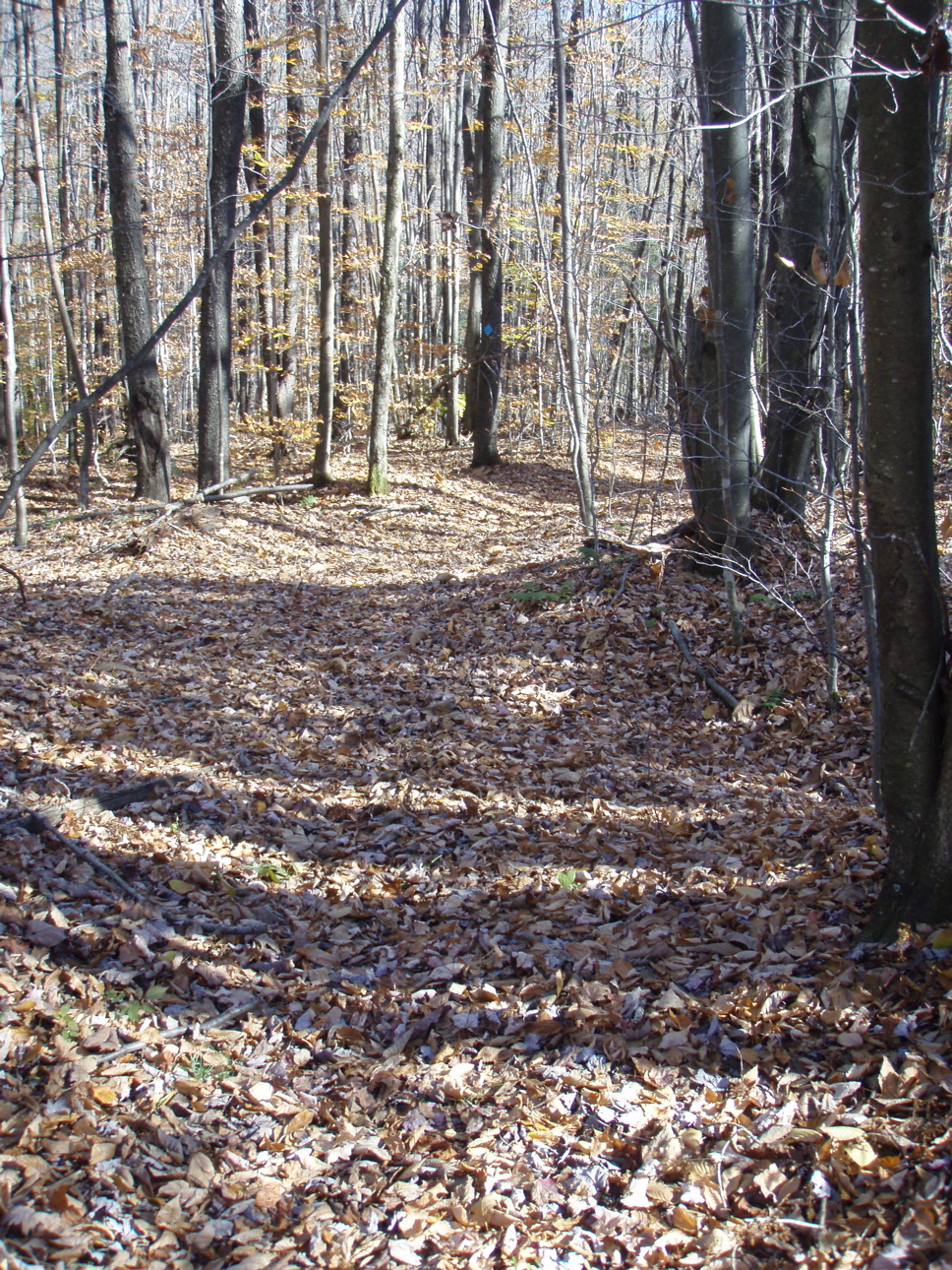 PA310015.JPG