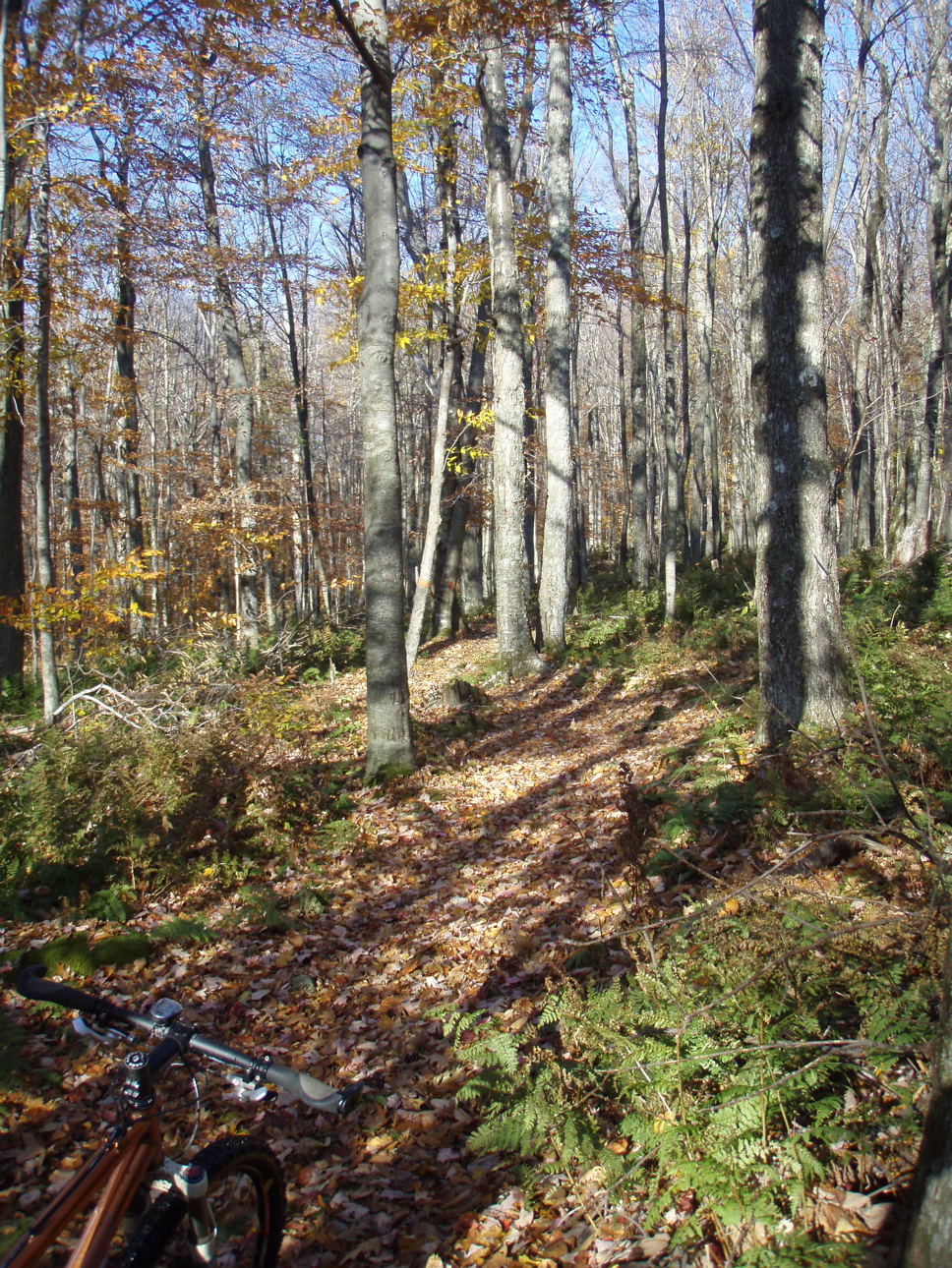 PB010023.JPG