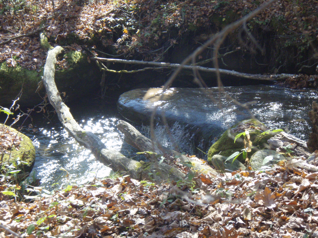 PA310005.JPG