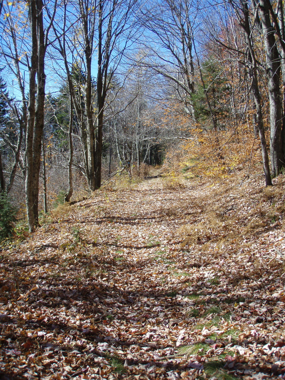 PB020035.JPG