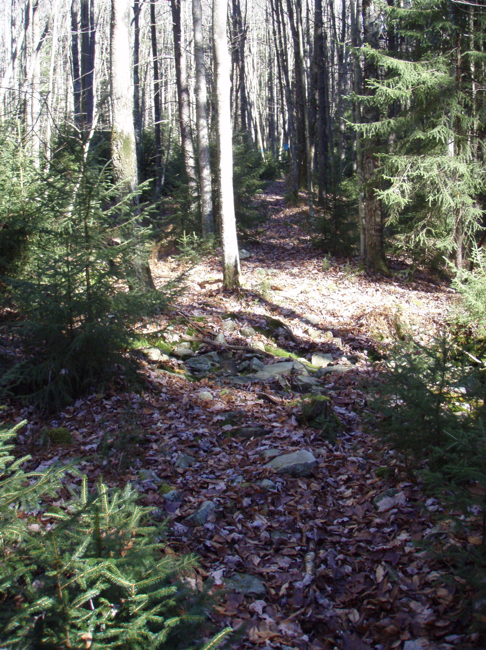 PB020042.JPG