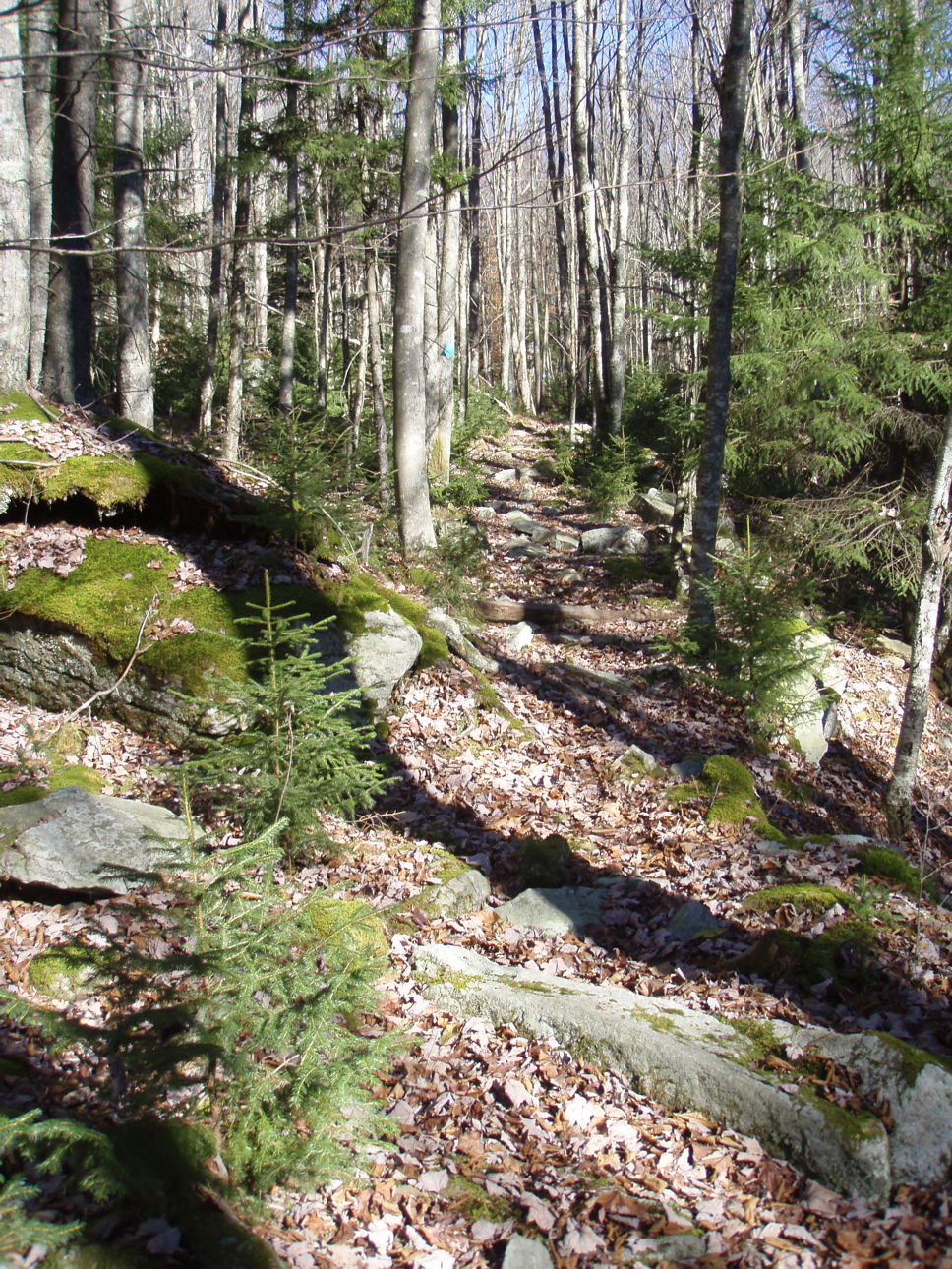 PB020045.JPG