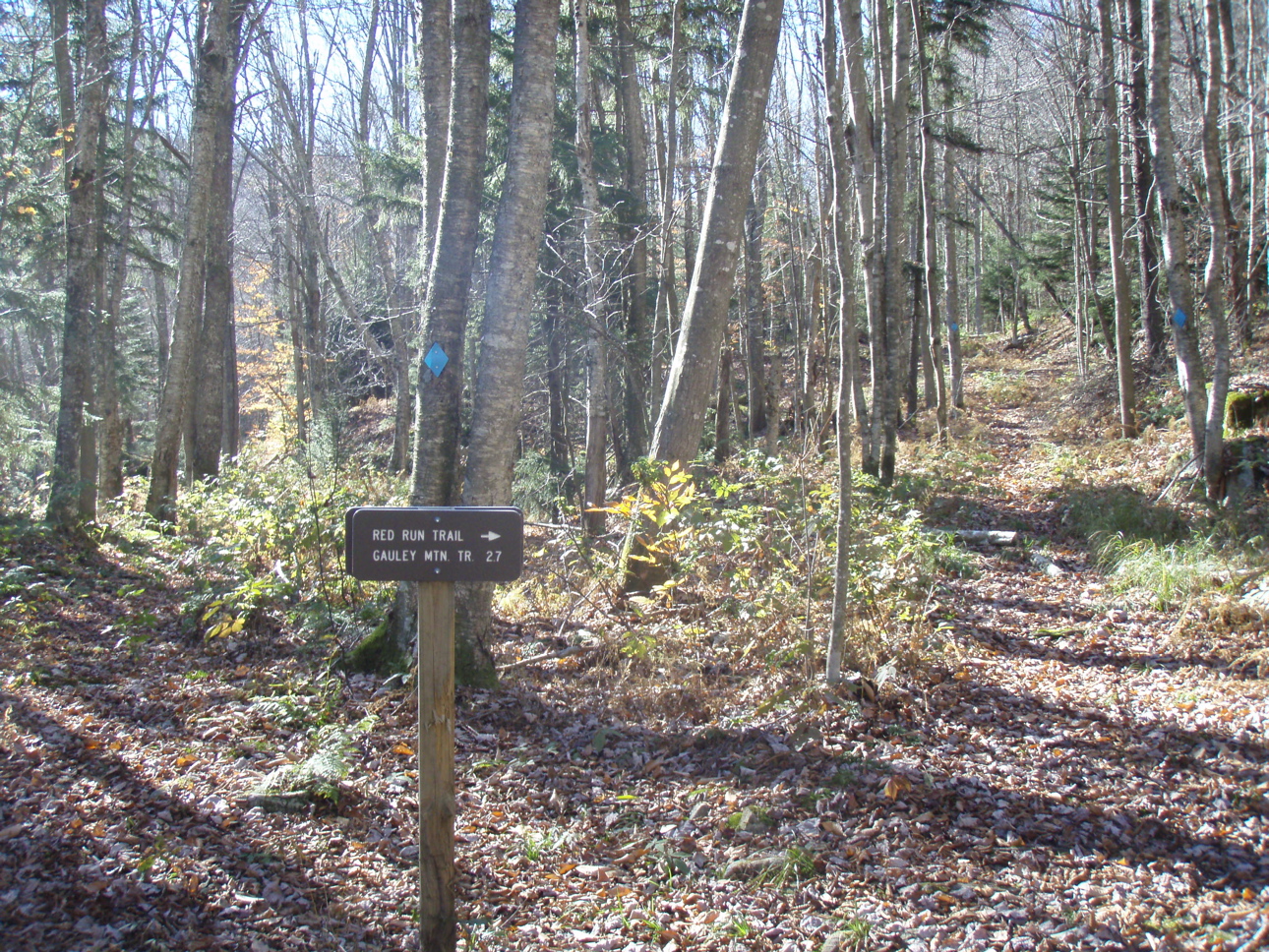 PB020047.JPG