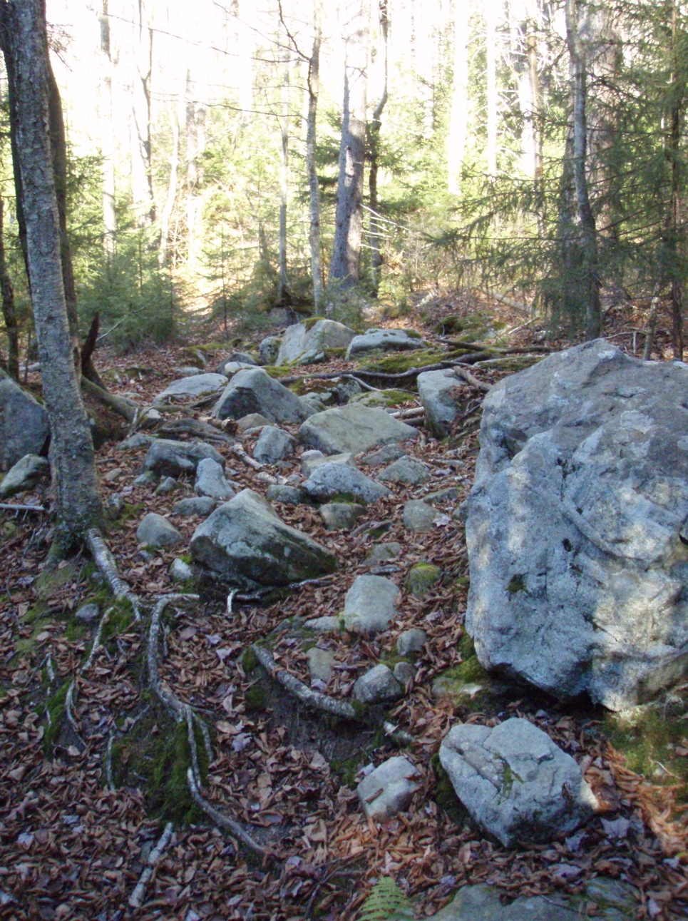 PB020054.JPG