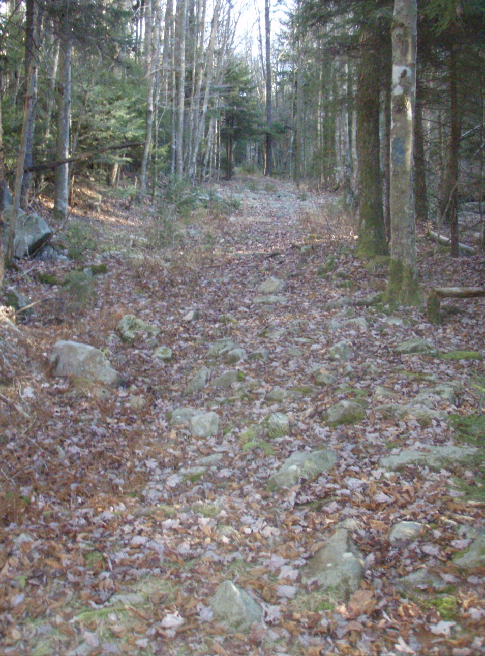 PB020055.JPG