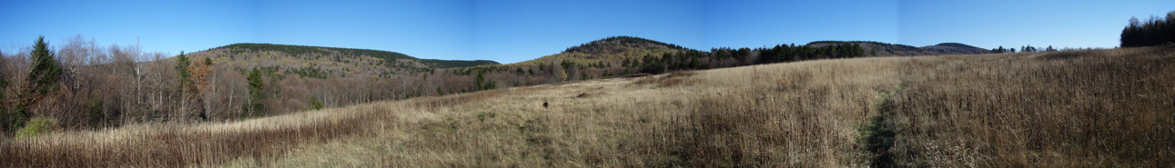 NorthForkMeadow