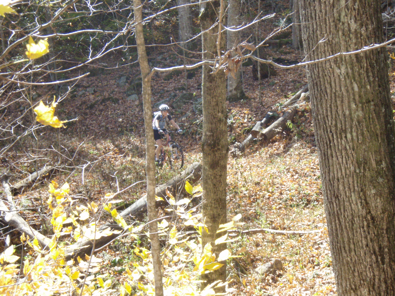 PA310010.JPG