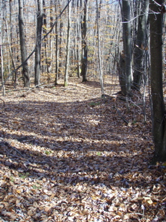 PA310015.JPG