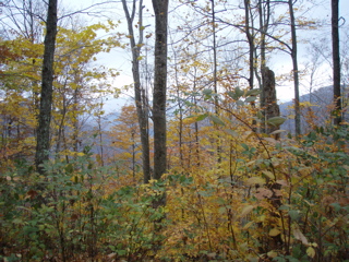 PB010021.JPG