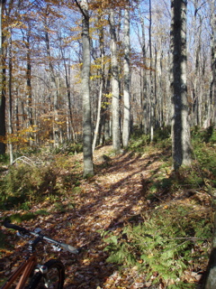 PB010023.JPG