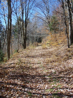 PB020035.JPG