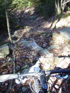 PB020040.JPG