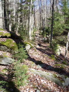 PB020045.JPG