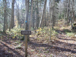 PB020047.JPG