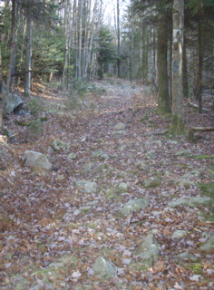 PB020055.JPG