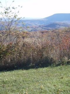 PB020072.JPG