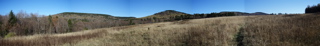 NorthForkMeadow