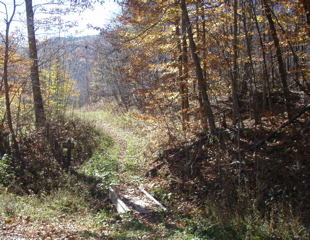 PA310007.JPG