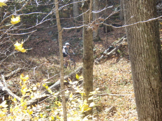 PA310010.JPG