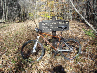 PA310011.JPG