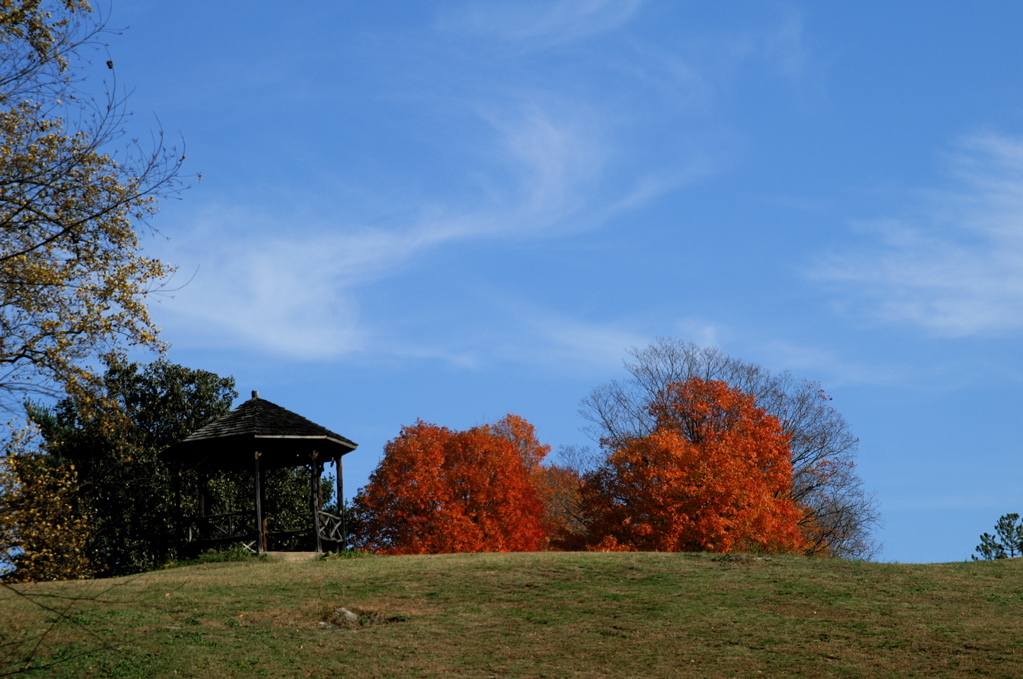 PICT1867.JPG