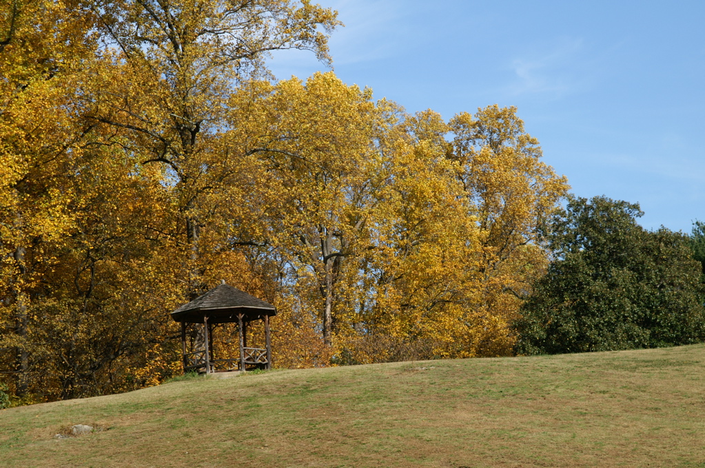 PICT1871.JPG