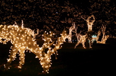 PICT1909.JPG
