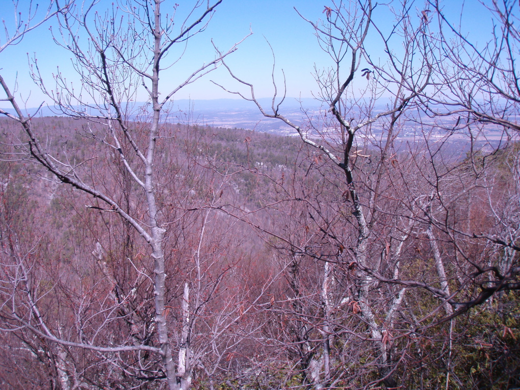 P3090014.JPG