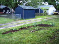 P5110009.JPG