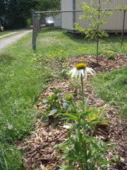 P5310003.JPG