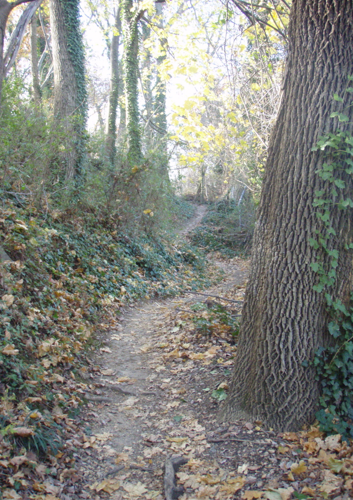 PB290030.JPG