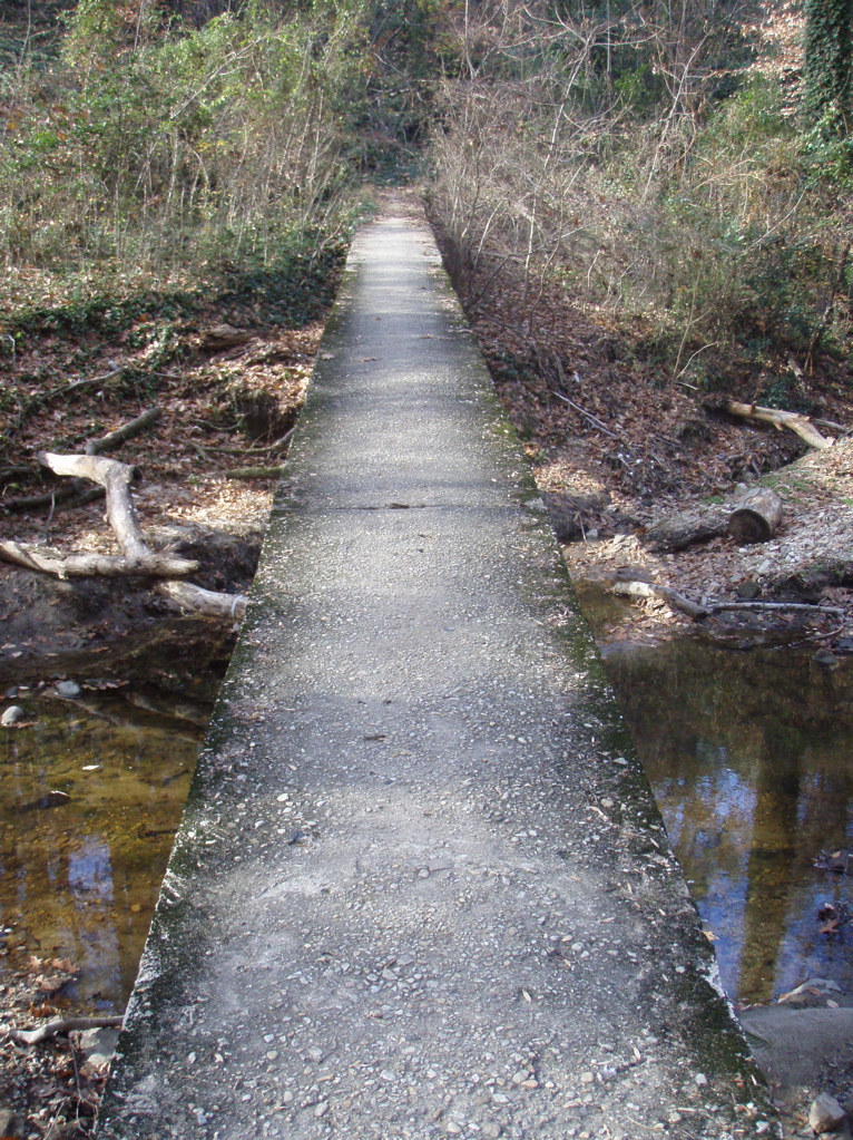 PB290032.JPG