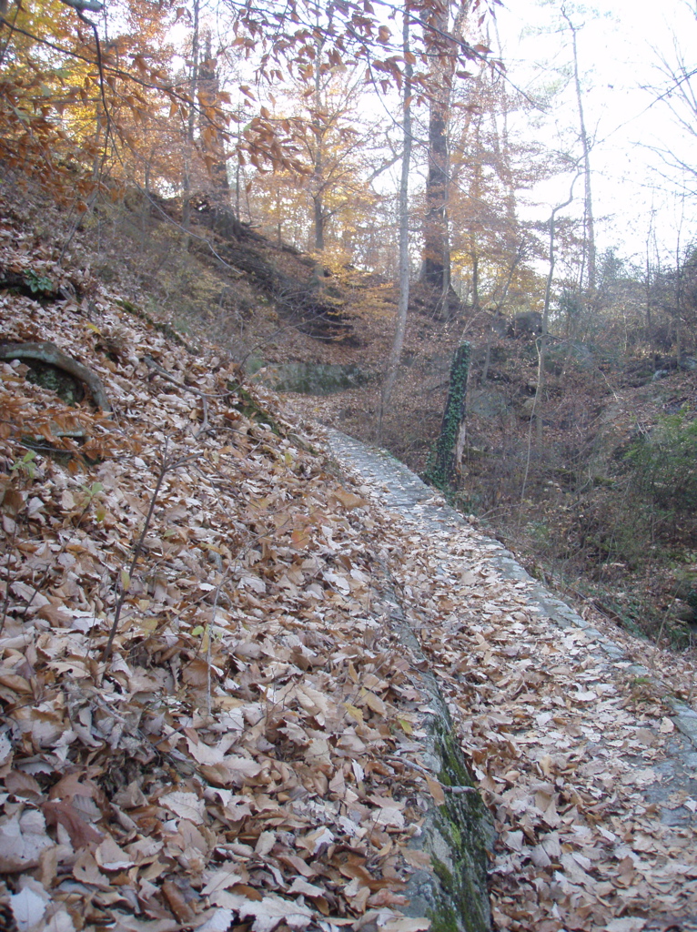 PB290036.JPG