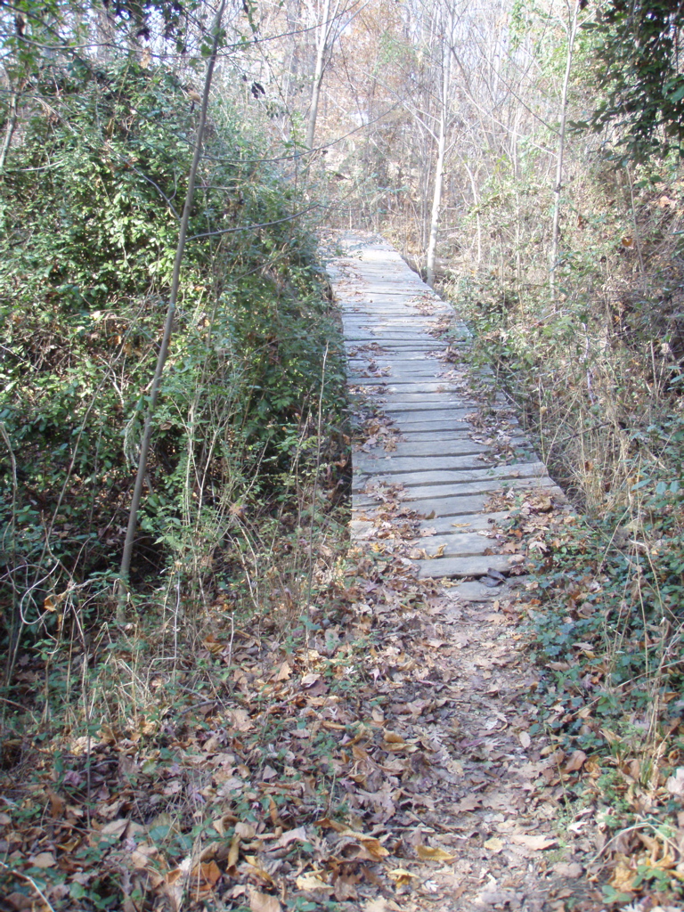PB290040.JPG