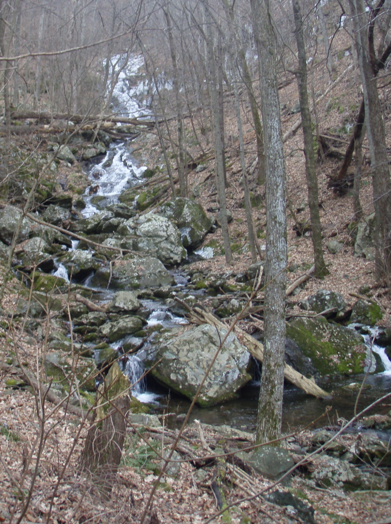 PC260005.JPG