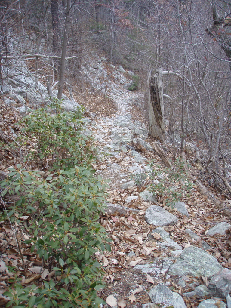 PC260013.JPG