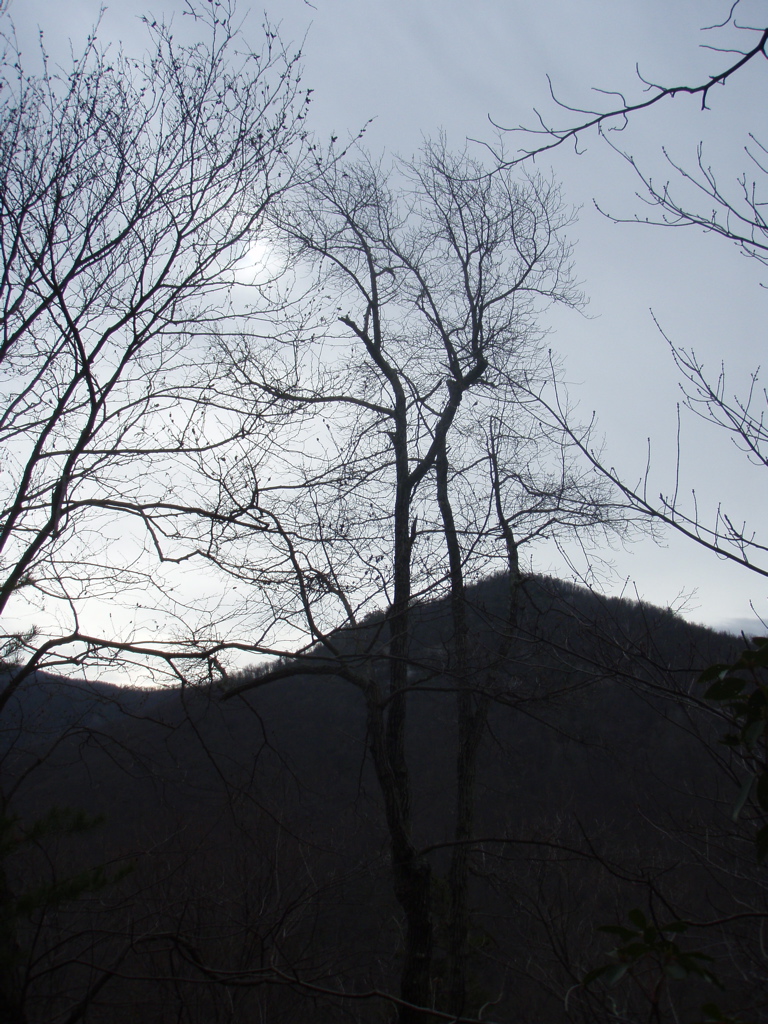 PC260015.JPG