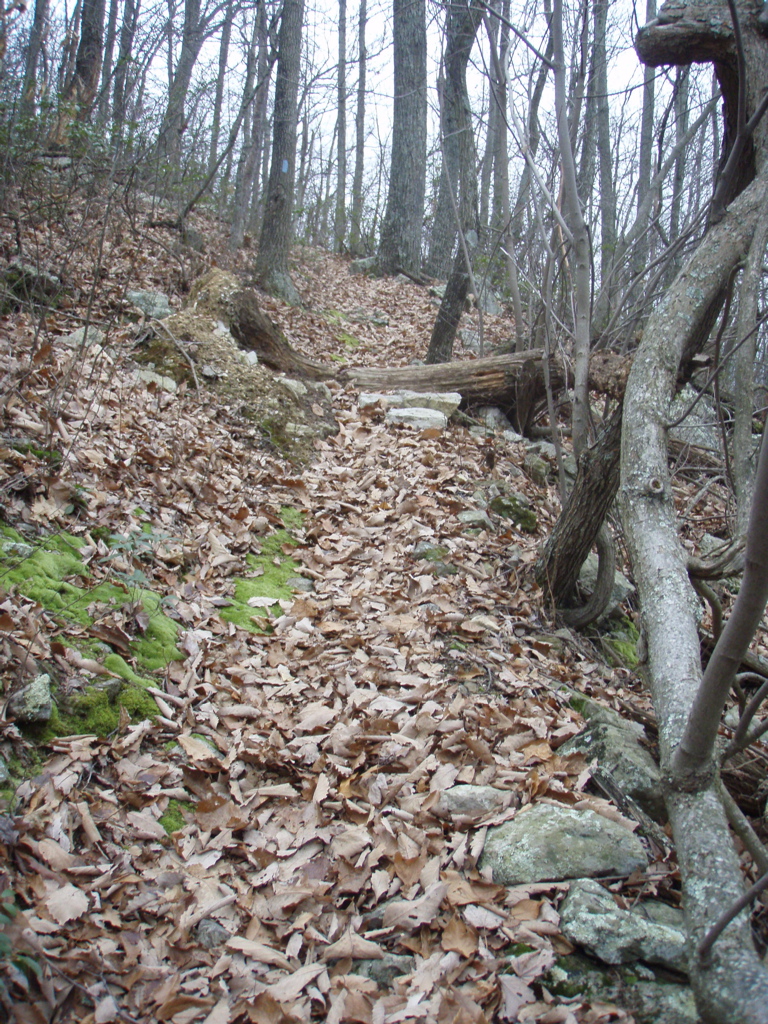 PC260016.JPG