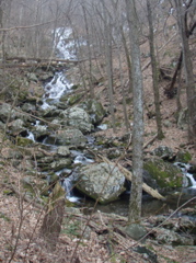 PC260005.JPG
