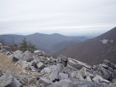 PC260032.JPG
