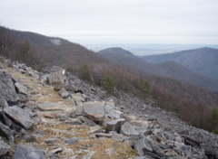 PC260035.JPG