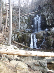 PC260007.JPG