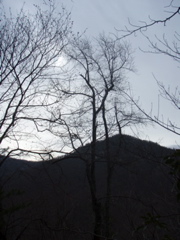 PC260015.JPG