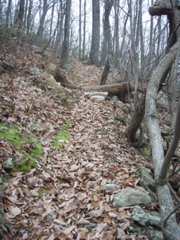 PC260016.JPG