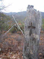 PC260018.JPG