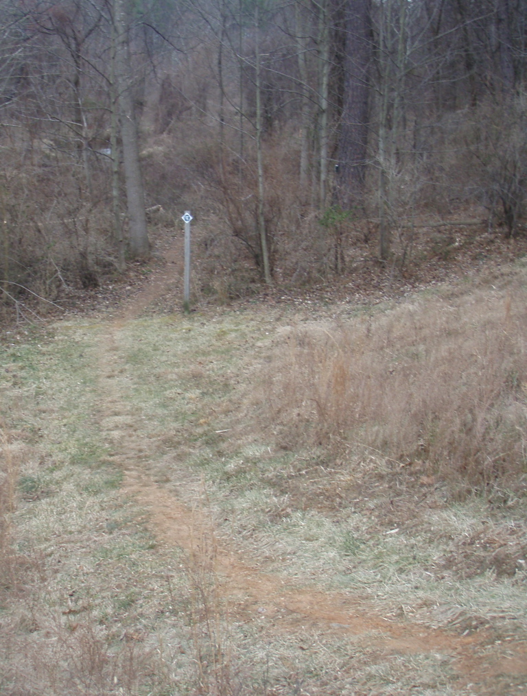 P1180002.JPG