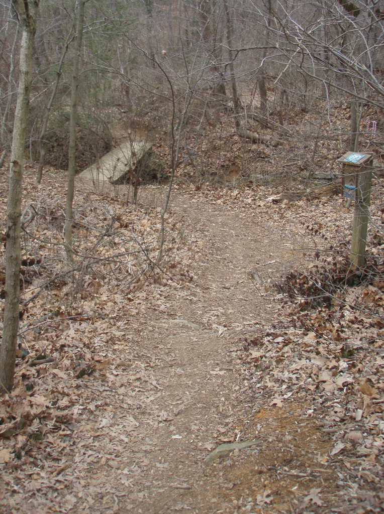 P1180020.JPG